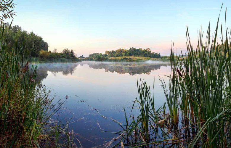 etang
